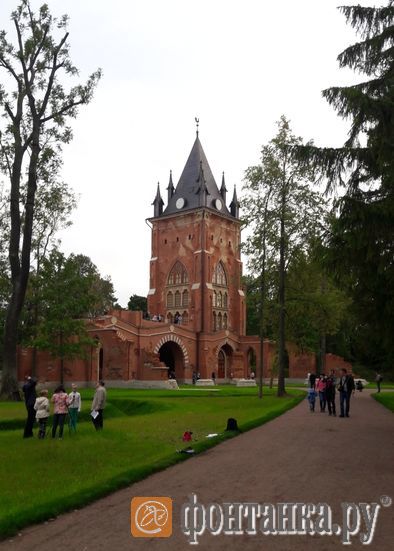 фото предоставлено компанией ООО "Терминал-Ресурс"
